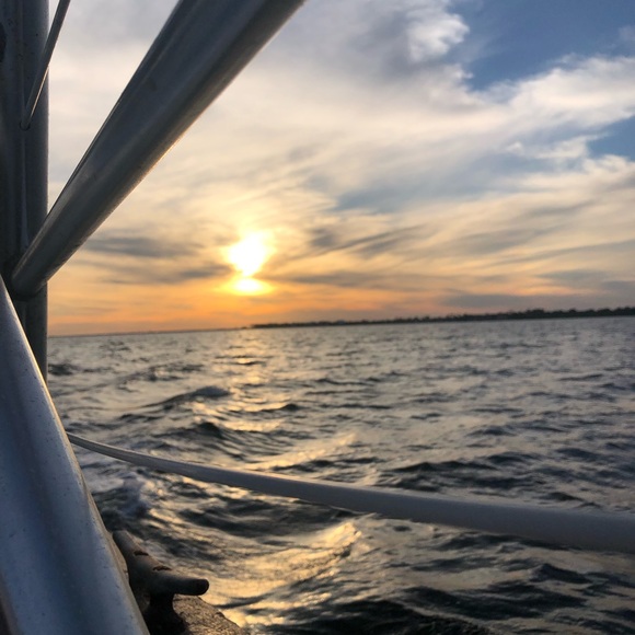 Meet your Posher, Ellie - Picture 1 of 1